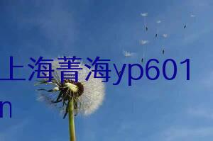 上海菁海yp601n精密电子天平产品说明书